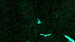 scarlett johnson gets wild under blacklight, showing off her body and taking that big penis