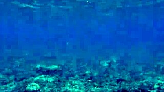 Skinny Teen Shows Huge Toy and Blowjob Fun