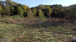 Hej, hiking vlogger Black Lynn cucá ptáka venku! 🌲