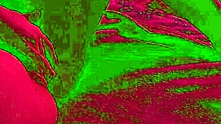 hot teen masturbates her wet pussy after school!