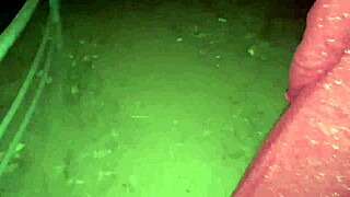 Intense Jungle Passion On Valentine's Day