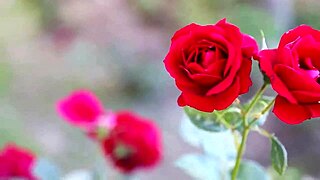 my college friend fucked me hard in a group setting