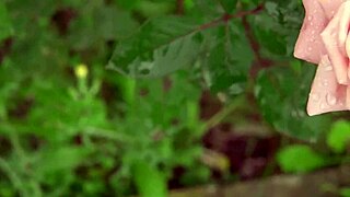 my college friend fucked me hard in a group setting