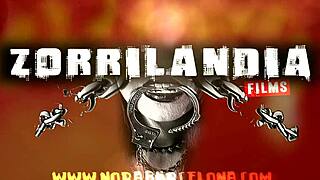 el pizzero PICHAS a domicilio!