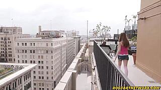 college brunette julia james goes wild deepthroating neighbor's monster bbc 🍆💦