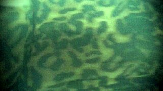 Ever blown a guy on public bus while flashing tits and almost caught?