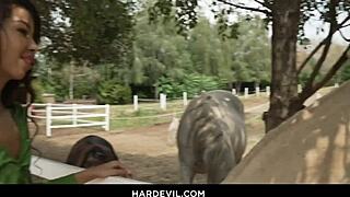 lias big stepfamily 3some with tiffany tatum raul costa and lia lin in hardcore group play