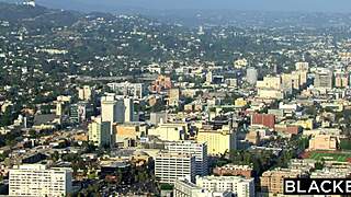 bbc-curious selena love begs boss for that massive cock now!