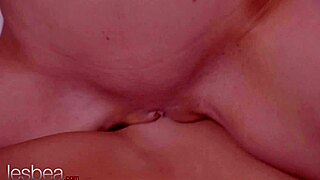 대학생
