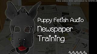 puppy fetish newspaper training