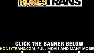 Λατίνα τρανς εραστές ανταλλάσσουν πρωκτικό με μεγάλα καυλιά