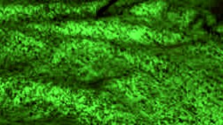 Rødhot Ræv Rider Store Titter I Cowgirl, Så Doggy Blowjob Hård Knepning